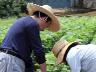 「先生が美味しくないって」「食べないなんて今更言えない」
