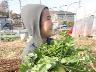 「サツマイモは焼いてもサツマイモだなぁ」