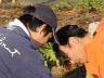 「下草刈りも大事だけど、まずは白菜を縛ることが…」