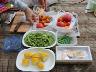 タカダファームの野菜達。イソさんの手作り。マツモトさんのお土産。