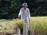 慣れれば初心者でも簡単です。