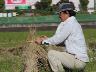 「藁立て作業は、アートの世界だ」