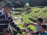 「ハイ!抜いたよ」「ホラホラ、赤いよ」