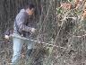 「シノダケが夢に出てきそう。1本、10本、100本、1000本…」