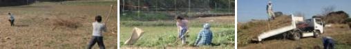 今期2度目の瀬谷の作業。すっきりしましたが、野球をやるためではありません。」