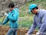 「一列に何個置きました?」「置けるだけ」